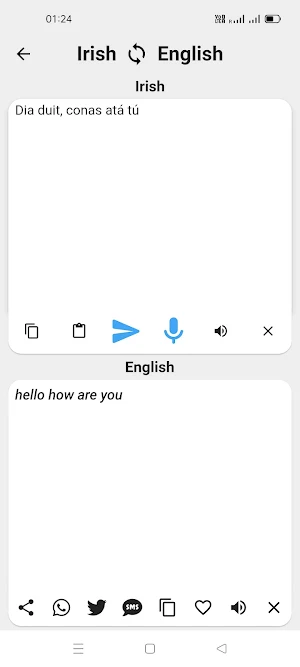 Irish To English Translator Screenshot 3