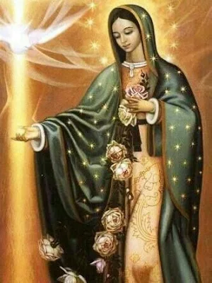 Virgen de Guadalupe Screenshot 3