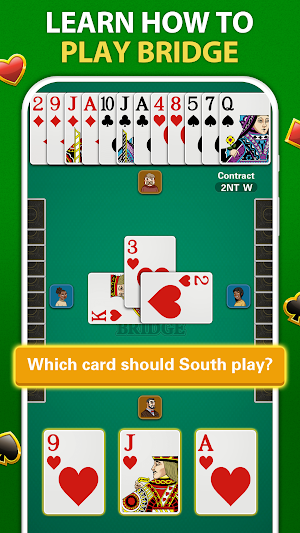 Bridge - Card Game Screenshot 2