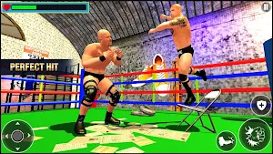 Wrestling SuperStars 2019 : Tag Team Ring Fighting Screenshot 2