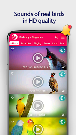 Bird Songs: Ringtones Screenshot 1