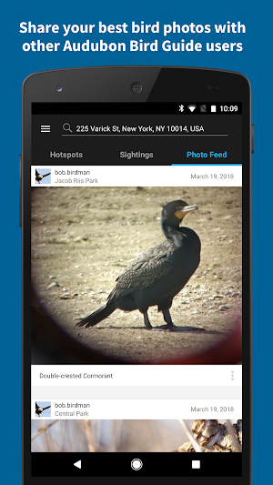 Audubon Bird Guide screenshot 5