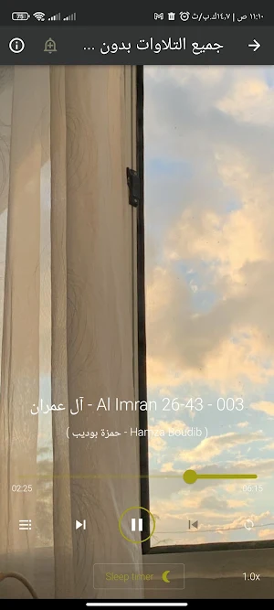 القران بصوت حمزة بوديب بدون نت Screenshot 1