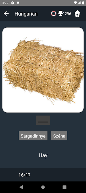 Hungarian Language Tests Screenshot 3