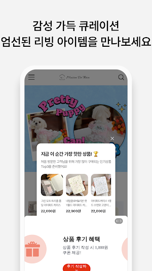 Maison de Teca Screenshot 2