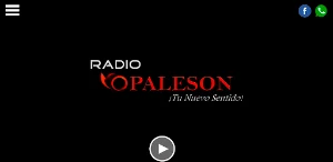 Vopaleson Screenshot 3