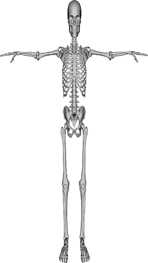 skeleton Screenshot 3