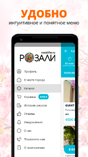 РОЗАЛИ.РФ Screenshot 1