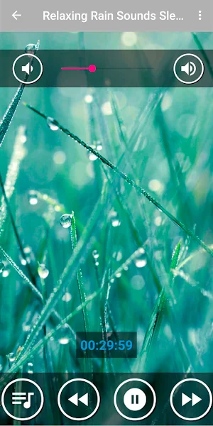 Rain Sound Relaxation / Ultimate Stress Relief Screenshot 0