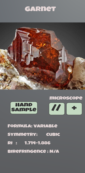 Petrology Minerals and Rocks Screenshot 0