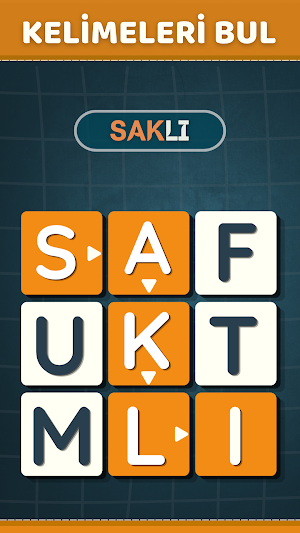 Saklı kelimeler (Kelime oyunu) Screenshot 0