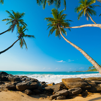 Tropical Beach Wallpaper