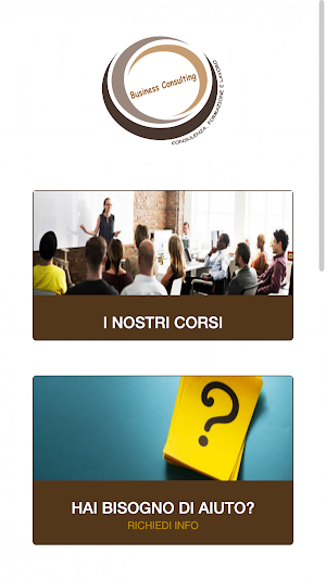 Business Consulting Screenshot 0