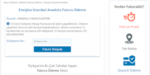 Elektrik Faturası Ödeme Screenshot 3