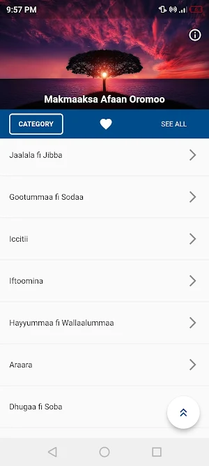 Mammaaksa Oromoo Screenshot 0