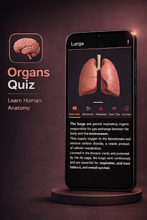 Organs Quiz Screenshot 2
