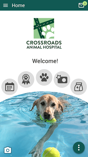 Crossroads AH Screenshot 0