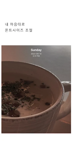 Timestamp Camera SENECA Screenshot 3