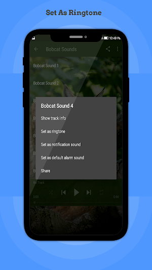 Bobcat Sounds Screenshot 2