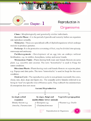 Class 12 Biology Screenshot 1
