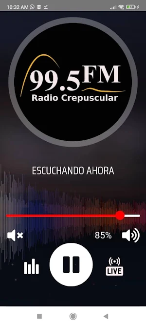 Crepuscular FM Screenshot 1
