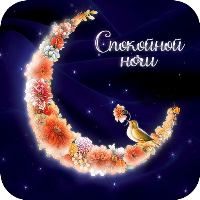 Спокойной ночи