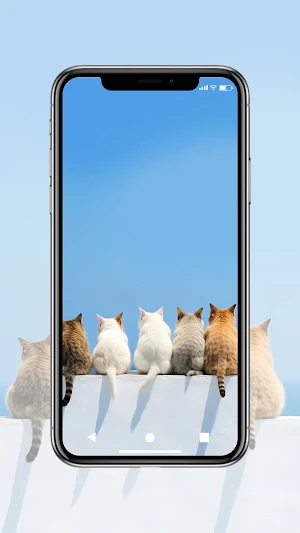 Cute Cat Wallpaper HD Screenshot 3
