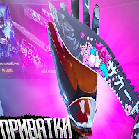 приватка v2 для стандофф 2