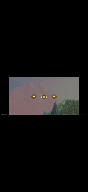 PlayerYo Screenshot 1