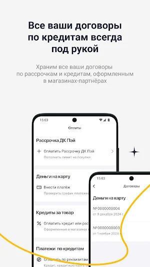 Direct Pay Screenshot 1