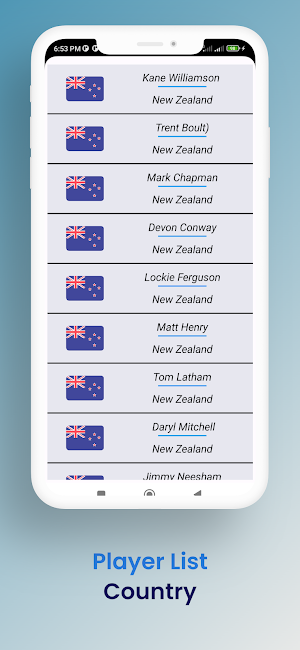 World Cup Cricket Live Score Screenshot 3
