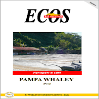 PAMPA WHALEY - Storia e caffè