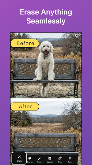 Colora: Old Photo Colorizer AI Screenshot 1