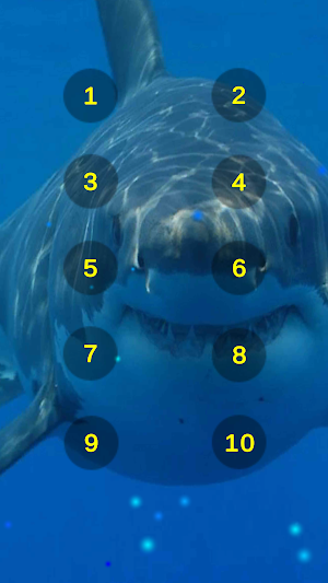 Great White Shark Soundboard Screenshot 2