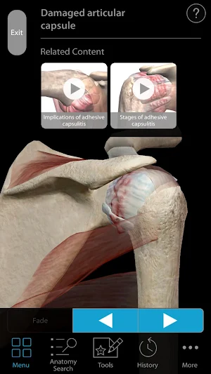 Muscle Premium - Human Anatomy, Kinesiology, Bones Screenshot 3