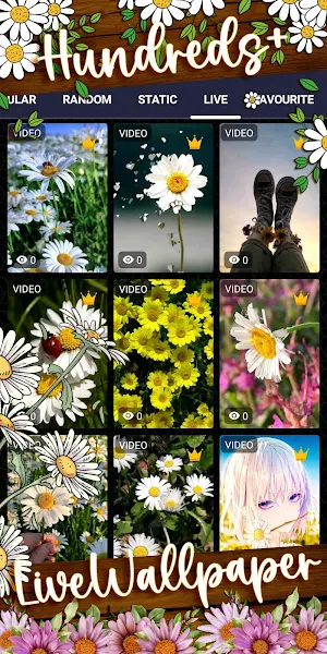 daisy wallpaper Screenshot 2