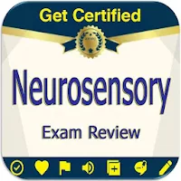 Neurosensory Exam Review: stud