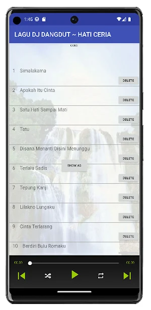 LAGU DJ DANGDUT ~ HATI CERIA Screenshot 1