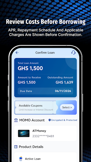 Active Loan Screenshot 2