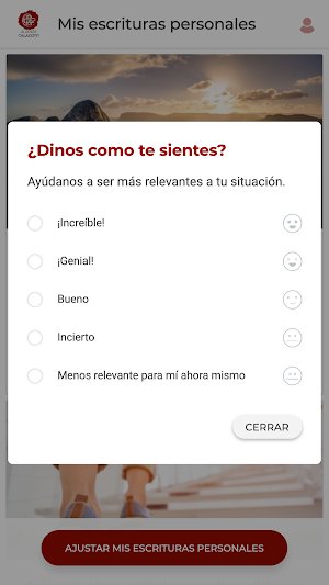 ACYM Calacoto Screenshot 3