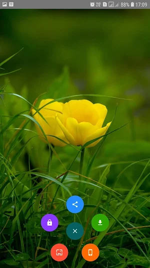 Flower Wallpaper Screenshot 1