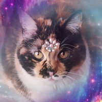 Nébula Tarot Cat