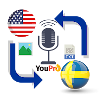 English to Swedish Translator