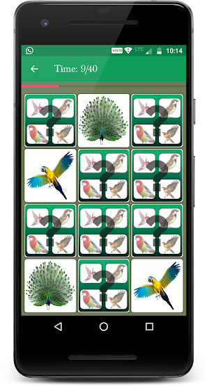 Bird Memory Matching Game Screenshot 2