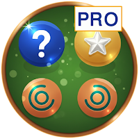FlipTrek Memory pro