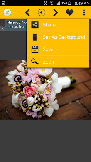 Flowers Wallpaper 2016 Screenshot 3