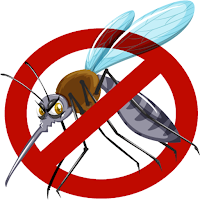 Mosquito Catch