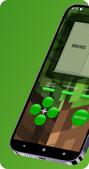 Bricks: Mine Block Craft Game Screenshot 0