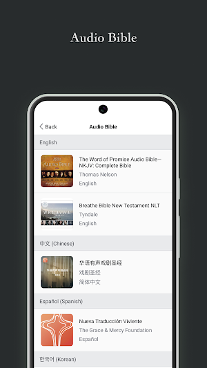 Public Reading of Scripture. Screenshot 2