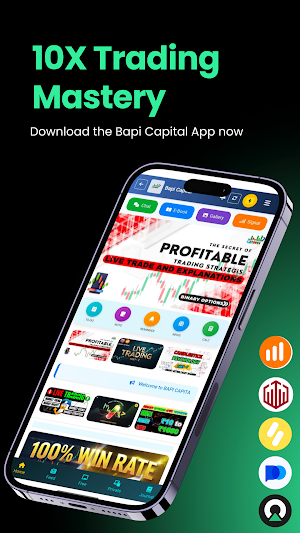 Bapi Capital Screenshot 2